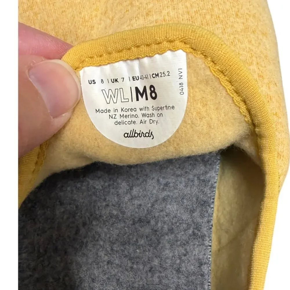 allbirds these slip